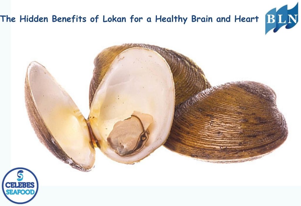 The Hidden Benefits of Lokan for a Healthy Brain and Heart